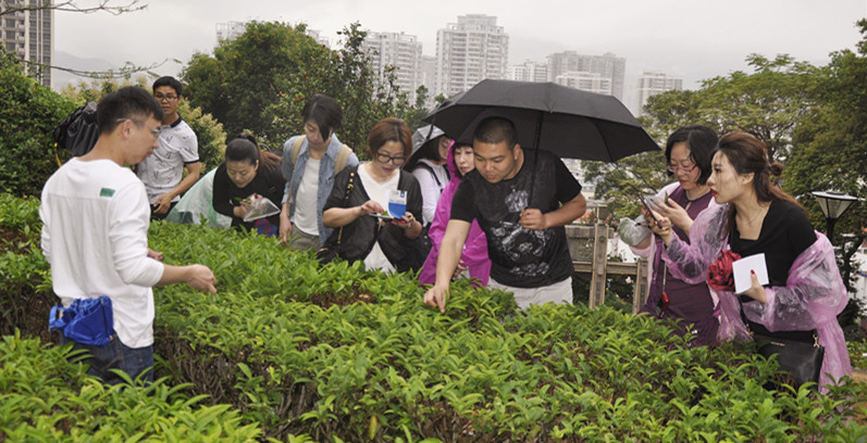 全国十大知名茶艺师培训学校:复现明代朱权《茶谱》中的十二道茶仪流程